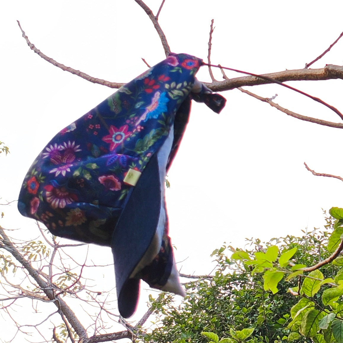 KNOTS Midnight Garden