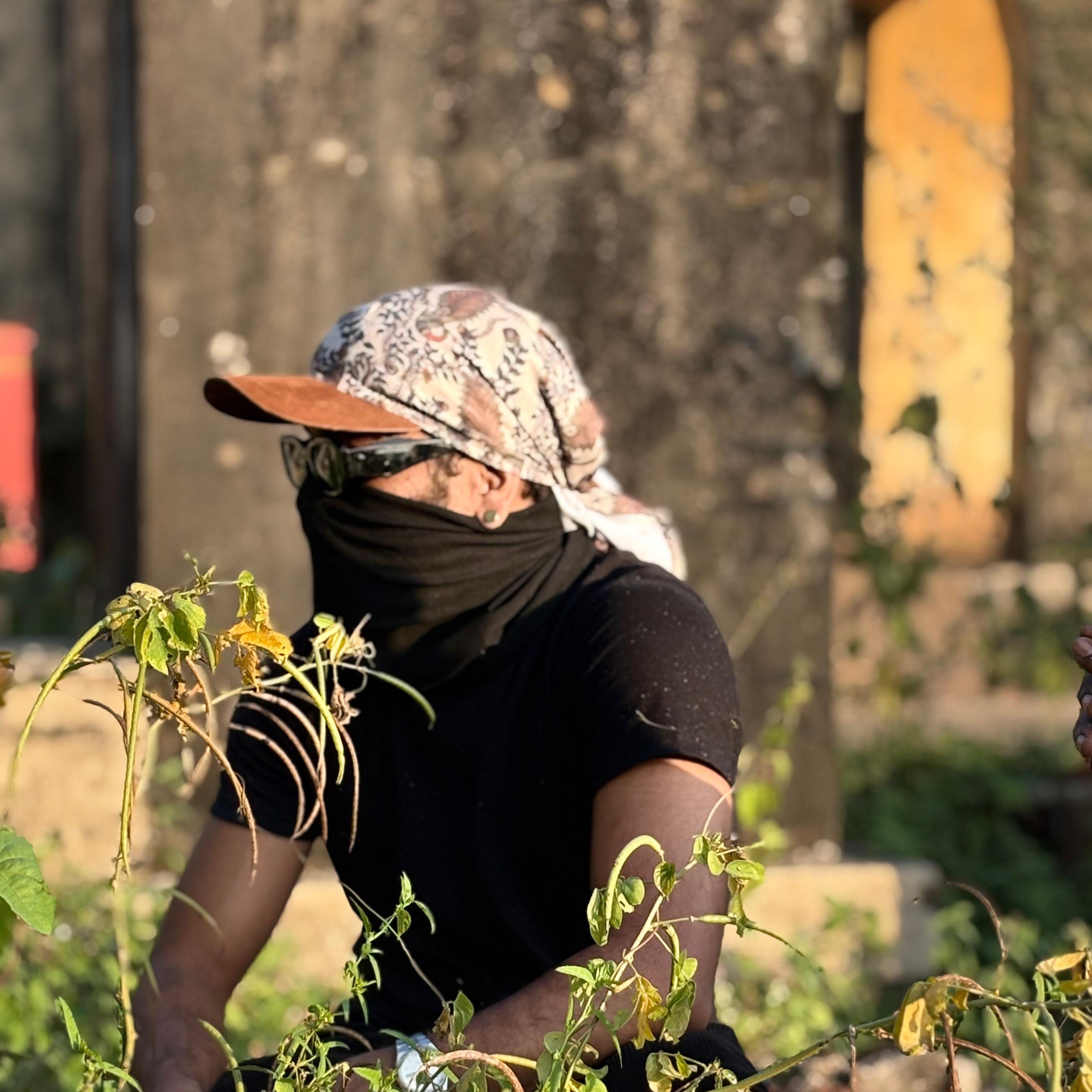 KNOTS Vintage Breeze